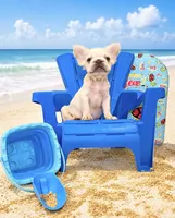 Jay Z , a male French Bulldog for sale in Houston, TX – 3 of 5