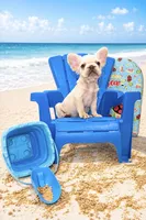 Jay Z , a male French Bulldog for sale in Houston, TX – 1 of 5