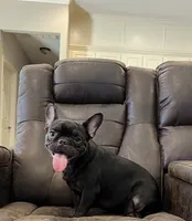 processed/bdcadb00-ae57-4bb8-a112-abf478fc4ffa/listing/f04173fb-0ef4-46ab-a4f9-32d182482fa2/00d5d99c-e2aa-4c67-9063-46101005655d