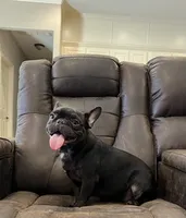 processed/bdcadb00-ae57-4bb8-a112-abf478fc4ffa/listing/f04173fb-0ef4-46ab-a4f9-32d182482fa2/945ccfff-0dc1-4367-a576-8136d9bf798f