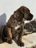 processed/bdcaefaa-a48c-4744-afb5-12bae198685e/listing/3388b311-ff04-4f9e-a0d3-0d1f41c8410c/32d4ca4a-a8ee-4ae7-ba04-e34715d8af22