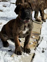 processed/bdcaefaa-a48c-4744-afb5-12bae198685e/listing/3388b311-ff04-4f9e-a0d3-0d1f41c8410c/5797c3e6-af81-4d88-b839-7e07014711a6