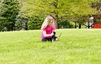 Domino male , a male Afghan Hound for sale in Carlisle, PA – 6 of 10