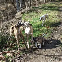 processed/bddeef00-f61e-4c3f-8cf8-5e9ab393a00c/facility/03548e5e-d929-479f-a8f0-e4a56489a4ec