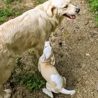 processed/bddeef00-f61e-4c3f-8cf8-5e9ab393a00c/facility/253fa479-f6a2-4f5c-8600-c872ceb64890