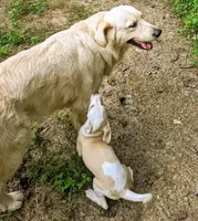 processed/bddeef00-f61e-4c3f-8cf8-5e9ab393a00c/facility/253fa479-f6a2-4f5c-8600-c872ceb64890