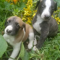 processed/bddeef00-f61e-4c3f-8cf8-5e9ab393a00c/facility/30e94e2e-802e-4720-b4ee-38df4641dce0