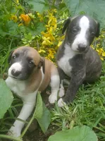 processed/bddeef00-f61e-4c3f-8cf8-5e9ab393a00c/facility/30e94e2e-802e-4720-b4ee-38df4641dce0