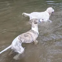 processed/bddeef00-f61e-4c3f-8cf8-5e9ab393a00c/facility/3feb5efc-2953-40c6-beb6-ee34abd949a4