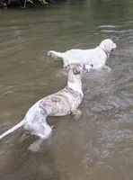 processed/bddeef00-f61e-4c3f-8cf8-5e9ab393a00c/facility/3feb5efc-2953-40c6-beb6-ee34abd949a4