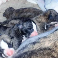 processed/bddeef00-f61e-4c3f-8cf8-5e9ab393a00c/facility/44c39c4a-85d8-4c34-addb-da897e958dc6