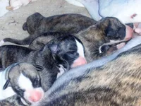 processed/bddeef00-f61e-4c3f-8cf8-5e9ab393a00c/facility/44c39c4a-85d8-4c34-addb-da897e958dc6