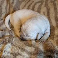 processed/bddeef00-f61e-4c3f-8cf8-5e9ab393a00c/facility/55d91f88-3f6f-4ee7-ab69-965b82ecd933