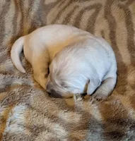 processed/bddeef00-f61e-4c3f-8cf8-5e9ab393a00c/facility/55d91f88-3f6f-4ee7-ab69-965b82ecd933