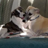 processed/bddeef00-f61e-4c3f-8cf8-5e9ab393a00c/facility/7df693bd-8513-488c-9ede-f4b6c2d6981f