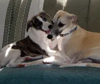 processed/bddeef00-f61e-4c3f-8cf8-5e9ab393a00c/facility/7df693bd-8513-488c-9ede-f4b6c2d6981f