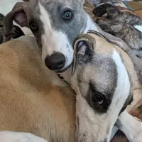 processed/bddeef00-f61e-4c3f-8cf8-5e9ab393a00c/facility/ec37edef-9ab5-43b2-be64-3a8447750e2c