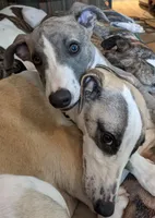 processed/bddeef00-f61e-4c3f-8cf8-5e9ab393a00c/facility/ec37edef-9ab5-43b2-be64-3a8447750e2c