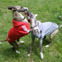 processed/bddeef00-f61e-4c3f-8cf8-5e9ab393a00c/facility/fdfaa03f-ac95-44a3-91b4-0342c006a9f0