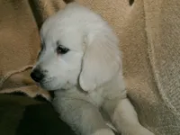 processed/bddeef00-f61e-4c3f-8cf8-5e9ab393a00c/listing/24d6f52a-ace4-4773-9b26-47ccb418c6cd/1ad11d5c-48b9-4fb2-919d-8ea52be307db