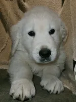 processed/bddeef00-f61e-4c3f-8cf8-5e9ab393a00c/listing/24d6f52a-ace4-4773-9b26-47ccb418c6cd/20fd0d59-5a06-4cd5-8c86-ef8119e13b3c