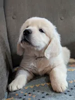 processed/bddeef00-f61e-4c3f-8cf8-5e9ab393a00c/listing/24d6f52a-ace4-4773-9b26-47ccb418c6cd/75c1bd53-cd1f-4fbd-90de-6651829fc75b