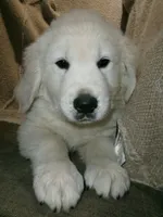 processed/bddeef00-f61e-4c3f-8cf8-5e9ab393a00c/listing/24d6f52a-ace4-4773-9b26-47ccb418c6cd/8e89bea1-7ab8-4e7c-bae5-5efc87dced8f