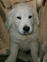 processed/bddeef00-f61e-4c3f-8cf8-5e9ab393a00c/listing/24d6f52a-ace4-4773-9b26-47ccb418c6cd/b0ad2464-f05a-4d36-a9fc-2015c25303c6