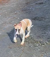 processed/bddeef00-f61e-4c3f-8cf8-5e9ab393a00c/listing/9b66bd97-44a5-43c4-8e6d-c3b1019e9ca4/461f20ad-cdb5-4b94-a846-f633f2ae97eb