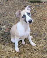 processed/bddeef00-f61e-4c3f-8cf8-5e9ab393a00c/listing/9b66bd97-44a5-43c4-8e6d-c3b1019e9ca4/6a8a1719-73ff-474c-829f-b465afd85661