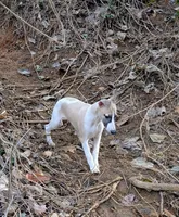 processed/bddeef00-f61e-4c3f-8cf8-5e9ab393a00c/listing/9b66bd97-44a5-43c4-8e6d-c3b1019e9ca4/782b64f2-5724-426f-b610-7f90e4334000