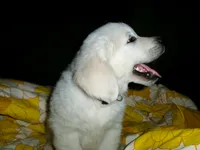 processed/bddeef00-f61e-4c3f-8cf8-5e9ab393a00c/listing/aa0ca18b-0ad6-4fdf-98c4-57cb04ddb4f8/411841a3-da95-4dc3-bc7f-8a5093ea2103