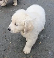 processed/bddeef00-f61e-4c3f-8cf8-5e9ab393a00c/listing/aa0ca18b-0ad6-4fdf-98c4-57cb04ddb4f8/852174a4-a5f6-4f8f-ba17-a983c775eddb