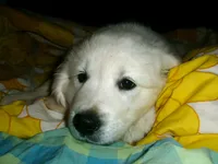 processed/bddeef00-f61e-4c3f-8cf8-5e9ab393a00c/listing/aa0ca18b-0ad6-4fdf-98c4-57cb04ddb4f8/a0f75390-1cdd-4ea2-8716-d3a520a65b72