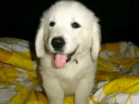 processed/bddeef00-f61e-4c3f-8cf8-5e9ab393a00c/listing/aa0ca18b-0ad6-4fdf-98c4-57cb04ddb4f8/a79ebadd-2a40-4c47-87dd-df98ffa9ecef