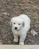 processed/bddeef00-f61e-4c3f-8cf8-5e9ab393a00c/listing/aa0ca18b-0ad6-4fdf-98c4-57cb04ddb4f8/aabd6b2d-2211-4733-aa5e-88385a21ea03