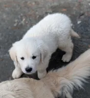 processed/bddeef00-f61e-4c3f-8cf8-5e9ab393a00c/listing/aa0ca18b-0ad6-4fdf-98c4-57cb04ddb4f8/e52bc872-92ed-4150-abbc-30efab5fc1b4