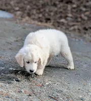 processed/bddeef00-f61e-4c3f-8cf8-5e9ab393a00c/listing/aa0ca18b-0ad6-4fdf-98c4-57cb04ddb4f8/e8419ae3-bd9f-4914-813b-e575ba5d8f2f