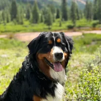 processed/bde3cfc5-b472-46dd-a142-b3267bbbe4e7/facility/23bebb3f-1555-40ea-b1d7-c08565519f8f