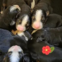 processed/bde3cfc5-b472-46dd-a142-b3267bbbe4e7/facility/85bb7ac8-f222-4b00-984f-9141158ebe9b