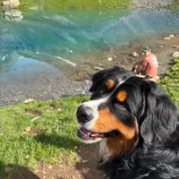 processed/bde3cfc5-b472-46dd-a142-b3267bbbe4e7/facility/d3bc3311-0276-45cb-a7aa-3f539015969f