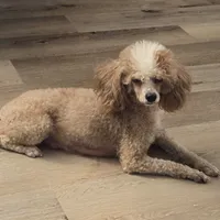 processed/bdeb69b3-1eb3-40d6-8283-34e0ccc954ab/facility/6237cb48-3592-4632-a2b2-1fcbdaeb1a69