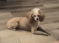 processed/bdeb69b3-1eb3-40d6-8283-34e0ccc954ab/facility/6237cb48-3592-4632-a2b2-1fcbdaeb1a69