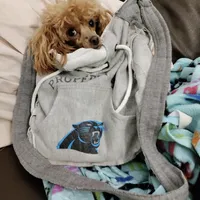 processed/bdeb69b3-1eb3-40d6-8283-34e0ccc954ab/facility/71c6def1-832d-4f80-a26e-54400edffabd