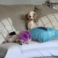 processed/bdeb69b3-1eb3-40d6-8283-34e0ccc954ab/facility/77281aa8-6b58-42d4-92c7-ad0251c0ed4b