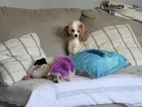 processed/bdeb69b3-1eb3-40d6-8283-34e0ccc954ab/facility/77281aa8-6b58-42d4-92c7-ad0251c0ed4b