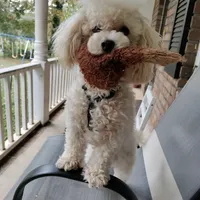 processed/bdeb69b3-1eb3-40d6-8283-34e0ccc954ab/facility/9f671ec7-0e81-4557-8982-4ccc477458c8