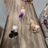 processed/bdeb69b3-1eb3-40d6-8283-34e0ccc954ab/facility/c0aae89a-e372-4322-a383-0f6b9e50ad6a