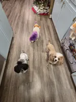 processed/bdeb69b3-1eb3-40d6-8283-34e0ccc954ab/facility/c0aae89a-e372-4322-a383-0f6b9e50ad6a