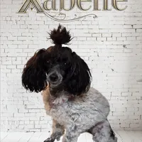 processed/bdeb69b3-1eb3-40d6-8283-34e0ccc954ab/facility/c84e06fc-c2bc-4a00-a4d6-c5eb994b7f0c